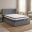 Muse Daily Deal Offers Mattress
