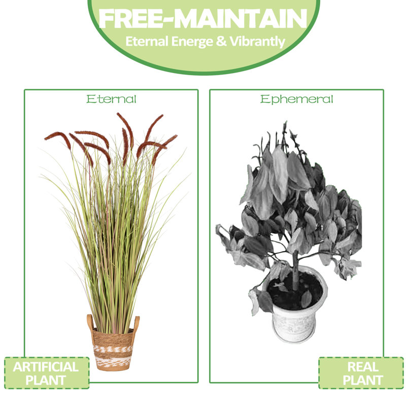 47.24'' Reed Grass Plant