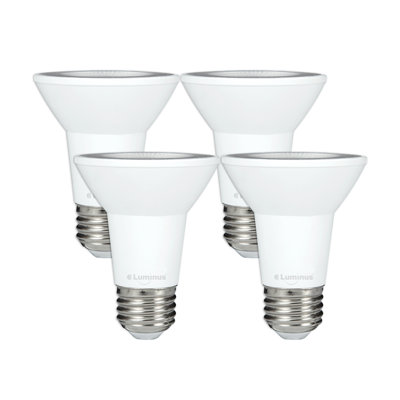6.5 Watt Bulb