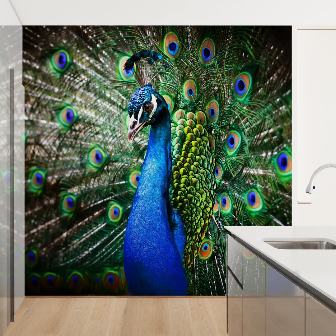 Strukturierte Fototapete Elegant Peacock 3,36 m x 336 cm