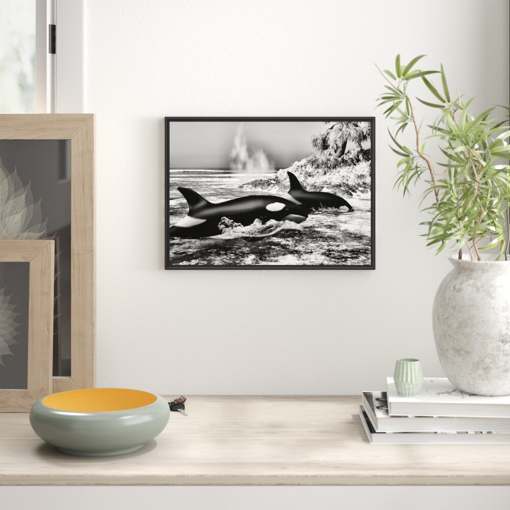 Gerahmtes Wandbild Orcas vor Insel