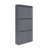 Anthracite est en rupture de stock