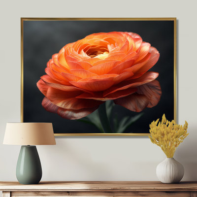 Orange et noir, Renoncule fleuri II - Renoncule, art mural, salon