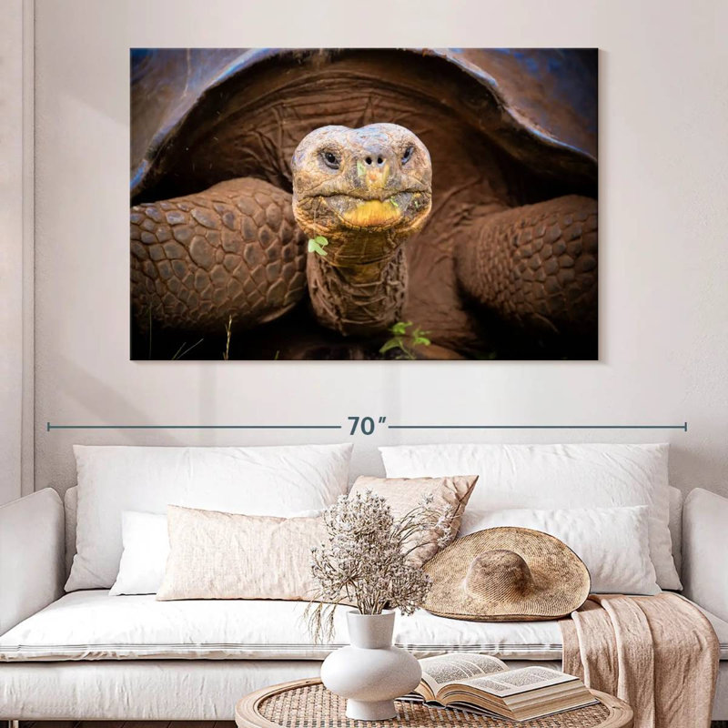Brampt Galapagos Tortoise, 34" H x 51" W