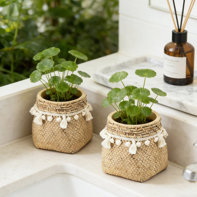 Ensemble de 2 pots à fleurs à tissage de ciment 2 pièces - Contenants de plantation élégants de 6,5 pouces pour espaces de jardinage personnalisés