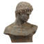 Buste Akeil brun / gris Atticus