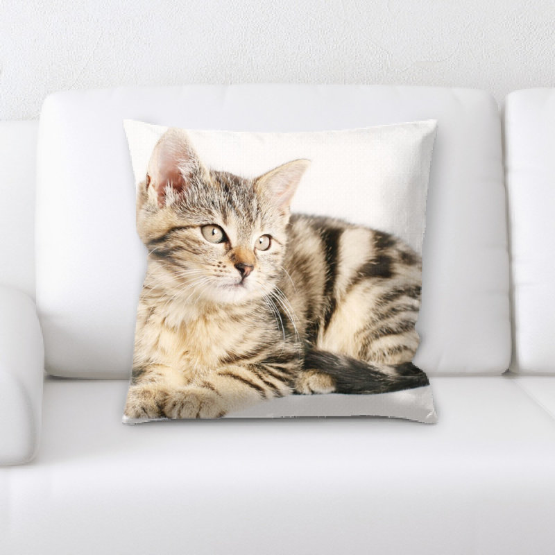 Coussin pour chat