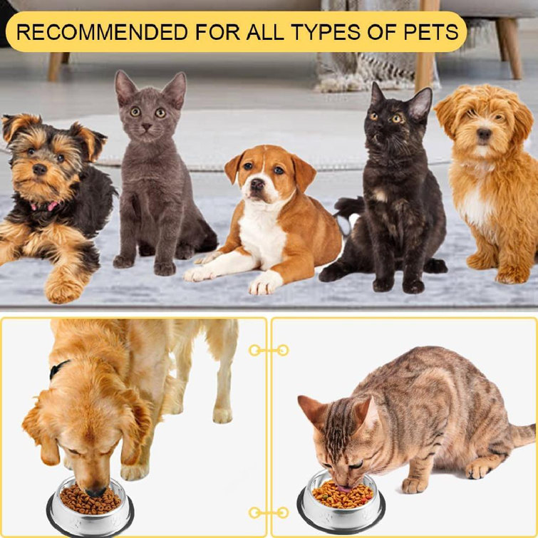 https://assets.wfcdn.com/im/24101906/resize-h755-w755%5Ecompr-r85/2158/215846625/Cat+Bowls+Stainless+Steel+Dog+Bowls+With+Rubber+Base+Anti-Slip+Cat+Food+And+Water+Bowl%2C+Perfect+Choice+For+Small+Dogs+Or+Cats.jpg