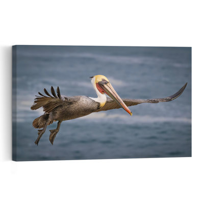 Pelican Gliding Over Ocean Contemporary Bird Pelican Coastal Nature Wall Art Print