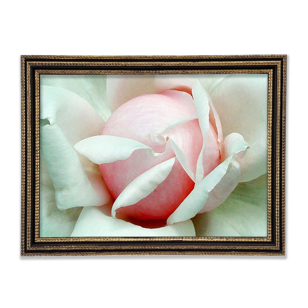 Gerahmter Kunstdruck Soft Pink Rose Bud