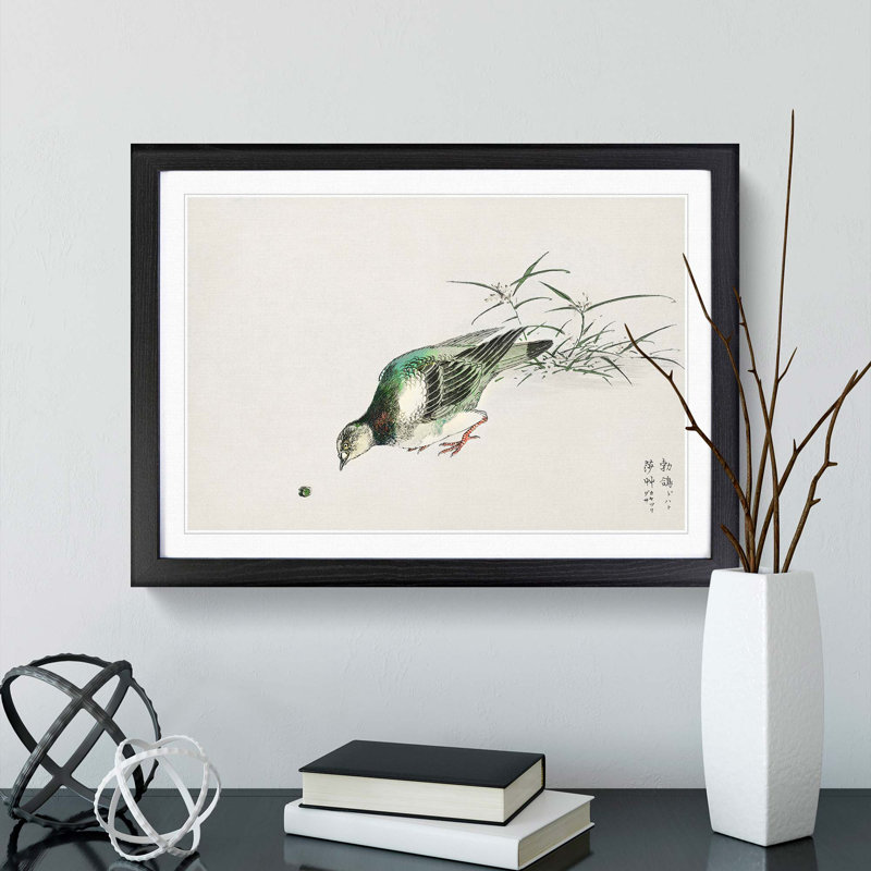 Eastern Turtle Dove by Numata Kashu - Picture Frame Painting Print, 48cm H x 65cm W x 2cm D, Black Framed