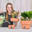 Mignon ensemble de 2 pots à plantes en forme de champignon, couleur terre cuite