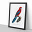 Crimson Rosella Parrot by F. Levaillant - Framed Print-55490555-55490551