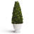 20'' Boxwood Topiary in Ceramic Pot