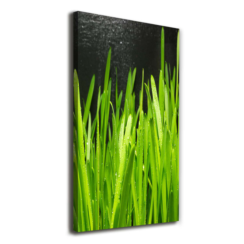 Blades Of Grass - Wrapped Canvas Print