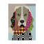 «Cocker Spaniel Dog» par Buckey, impression sur toile tendue-27492146