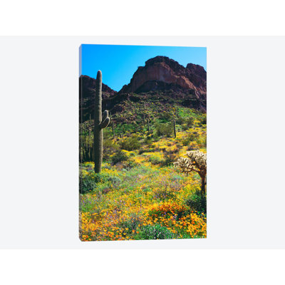 « american sud landscape », reproduction de photo sur toile