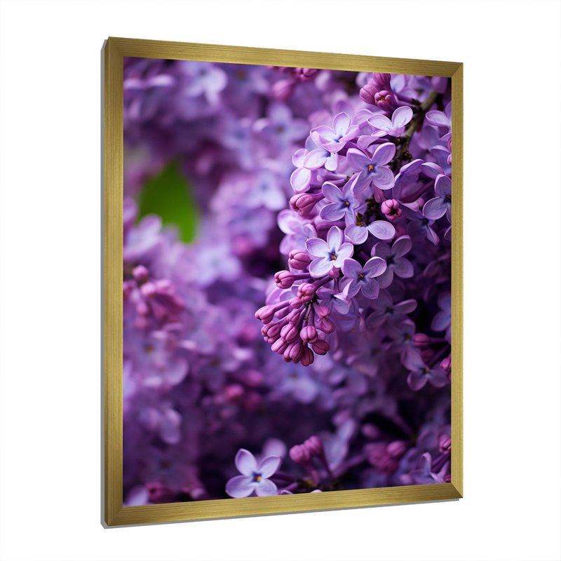 «Lilacs mauves», impression sur toile, H 40 po x l 30 po x P 1,5 po, Encadrement doré