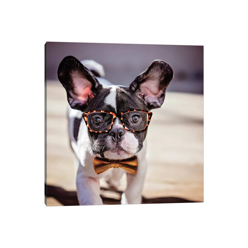 Charlie First Grade by Karen Burke - Wrapped Canvas Print, 30.48 cm H x 30.48 cm W