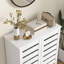 15 Pair Shoe Storage Cabinet