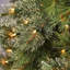 Home Heritage 10 Foot Mahogany Pine Cashmere Prelit Christmas Tree With Lights