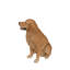 Statue golden retriever assis