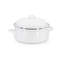 Golden Rabbit 4 Qt. Stainless Steel Round Dutch Oven-971664018