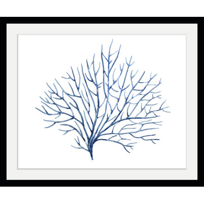 Seaweed - Single Picture Frame Print