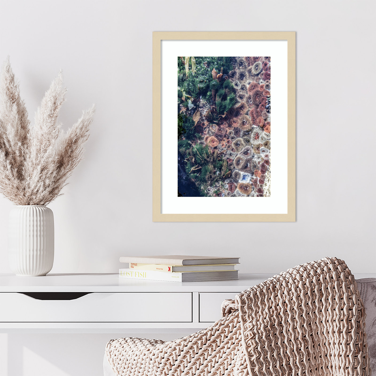 Daisey "Ocean Curiosities" Print, Brown, 21" H x 16" W