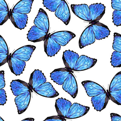 Solomons Butterflies - Wrapped Canvas Square Print