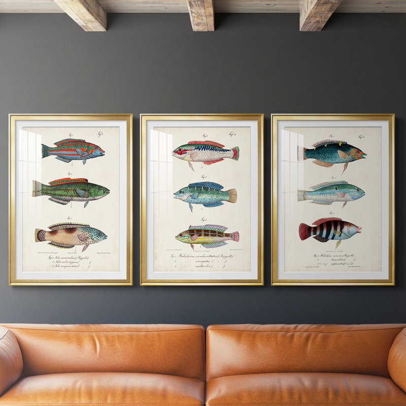 Antique Fish Trio I - Impression personnalisée de qualité supérieure avec cadre mat - 3 pièces, H 27 po x l 39 po, Doré