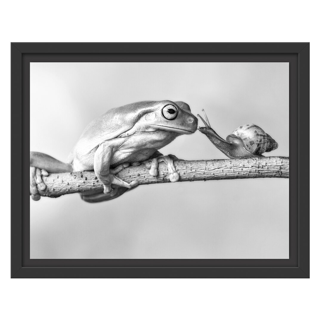 Gerahmtes Wandbild Frosch und die Schnecke