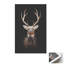 Print on Canvas-1682480035-1682480043