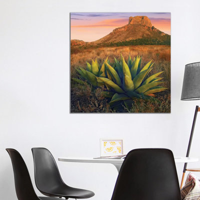 Casa Grande Butte with Agave in Foreground, Big Bend National Park, Texas 1 Piece Wrapped Canvas Wall Art