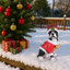 Statue festive de Noël terrier de Boston pour décor de maison de vacances (pile incluse)
