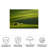 Canvas Wall Decor-1202548447
