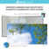 Tree - Magnetic Fluorescent Light Cover for Ceiling Lights Classroom -  2x4 -  by Octo Lights