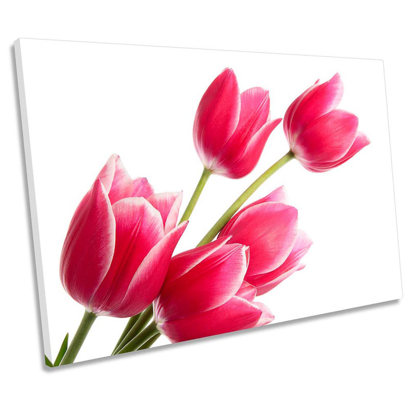 Bouquet Tulip Flowers - Wrapped Canvas Print, 81.3cm H x 121.9cm W x 4cm D