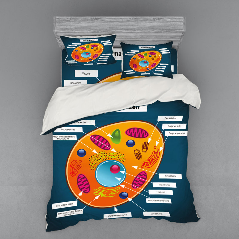 Ensemble de housse de couette éducatif, Housse de couette grand + 3 pièces supplémentair