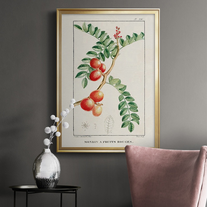 Turpin Tropical Botanicals III - reproduction d'art sur papier encadrée, H 24,5 po x l 18,5 po x P 1 po, Or