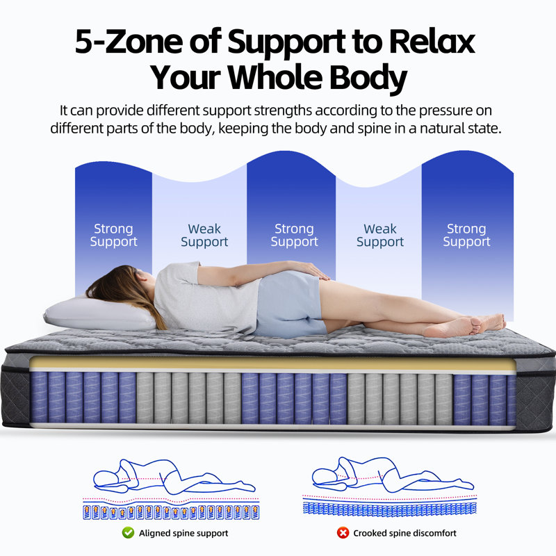 Matelas hybride 12 po Support moyen à 5 zones pour les personnes souffrant de maux de dos à l'esthétique du mouvement latéral - Réduit le bruit - convient à tous les cadres et tous les planchers