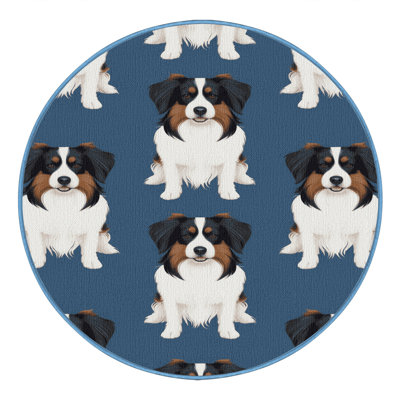  Tapis lavable pour chiens Stabyhoun