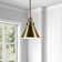 Zeno 1 - Light Single Pendant