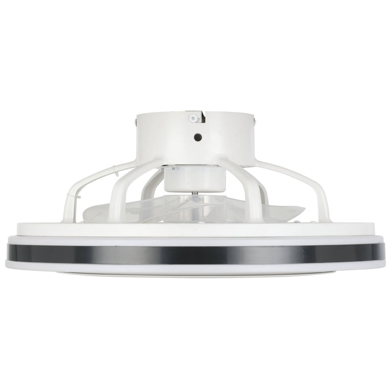 Hera Ceiling Fan with LED Lights