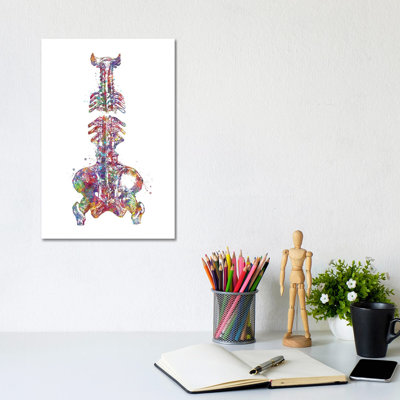 Spine Pelvis - Wrapped Canvas Print
