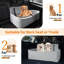 Dog House-1892068805