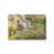 Stretched Canvas n'est pas disponible