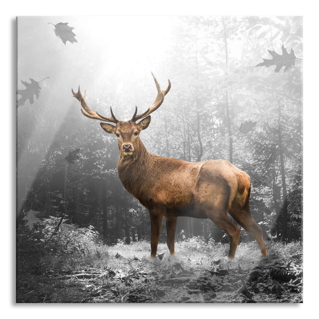 Glasbild Hirsch im Wald mit fallenden Blättern