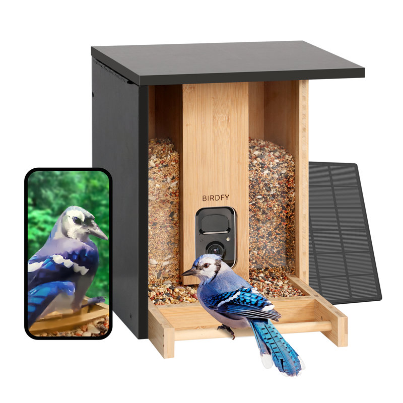 Mangeoire à oiseaux avec caméra solaire Birdfy - bambou sans vie Ai
