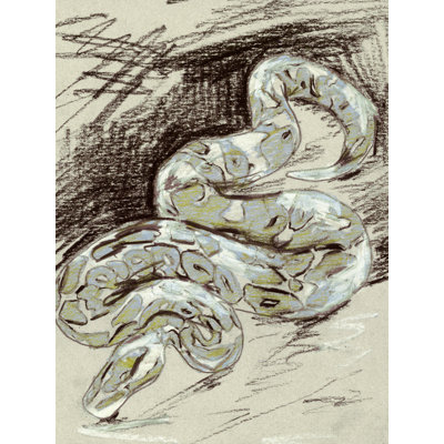 Python I 1 Piece Wrapped Canvas Wall Art